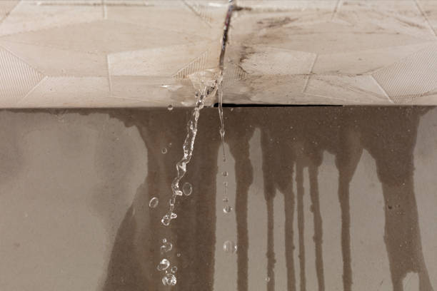 Professional Flood Damage Cleanup technician working in Sulligent, AL